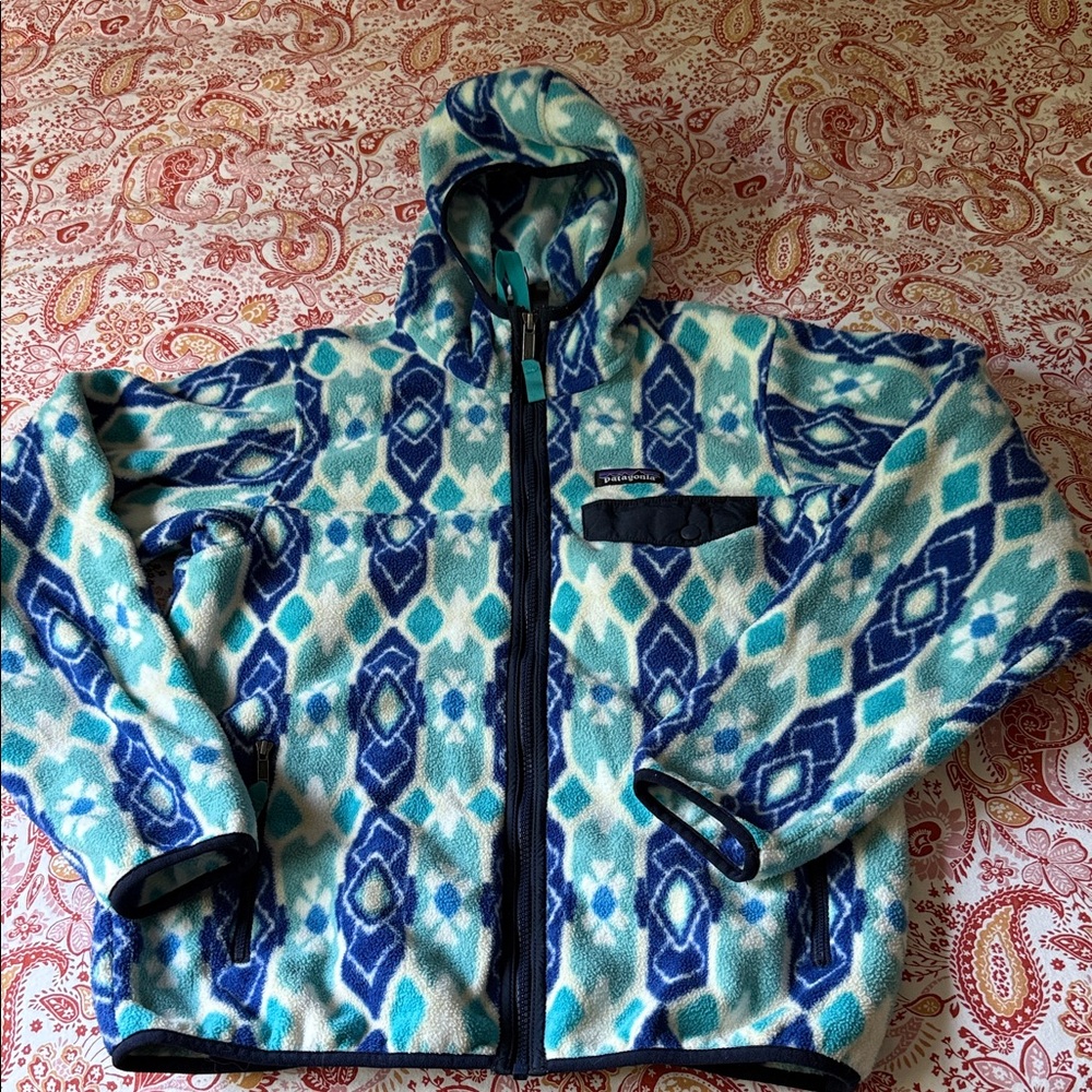 Patagonia Synchilla Blue Patterned Fleece Jacket